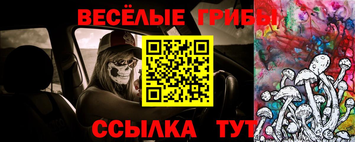 Галлюциногенные грибы Cubensis Краснодар