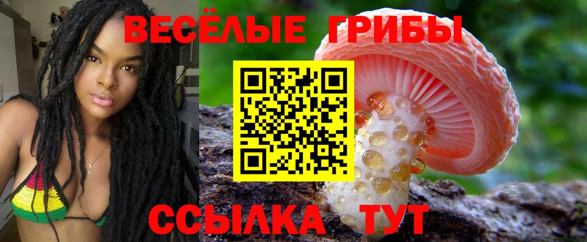 Галлюциногенные грибы мицелий  Вход с VPN  Краснодар 